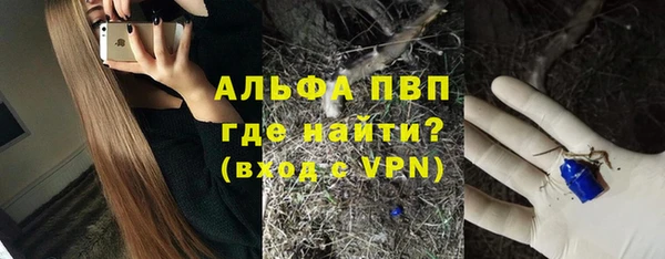 амф Арсеньев