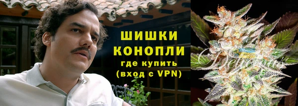 a pvp Аркадак