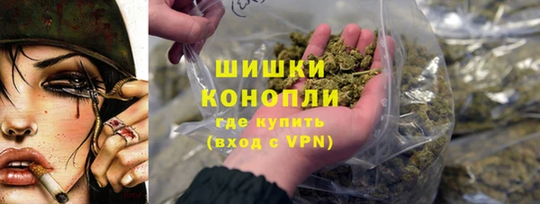 амф Арсеньев