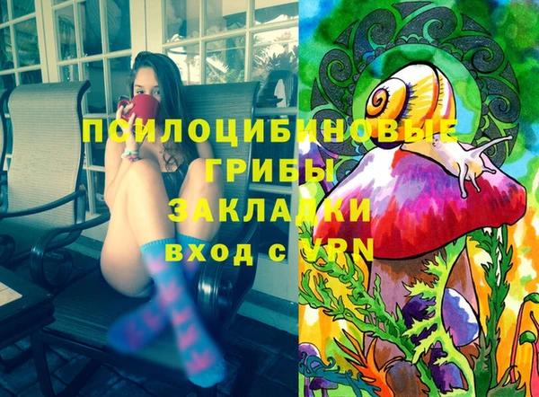 амф Арсеньев